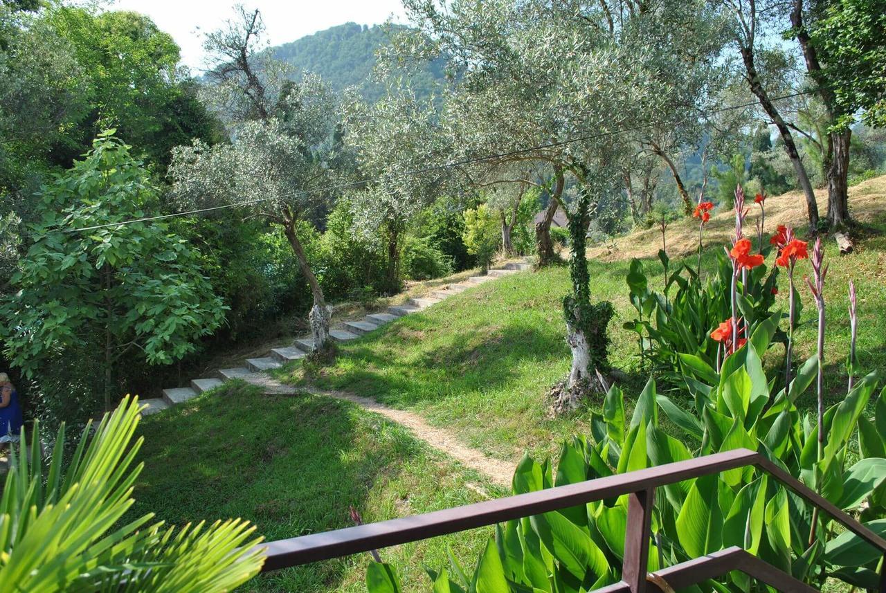 Villa Oliva New Athos Экстерьер фото